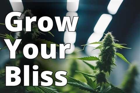 The Ultimate Guide to Growing Recreational Marijuana: Tips and Tricks