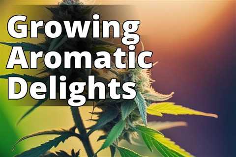 The Ultimate Guide to Growing Marijuana for Aromatic Delights