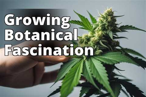 The Ultimate Guide to Growing Marijuana for Hobbyist Botanists