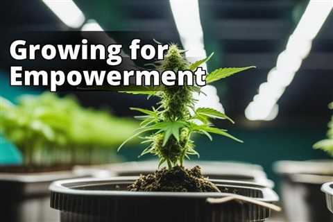 From Seed to Success: Tips for Growing Marijuana as a Hobby for Personal Empowerment