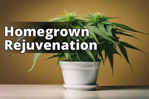The Ultimate Guide to Growing I Love Marijuana for Physical Rejuvenation