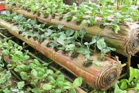 Amazing Farming ideas for Your Home & Garden