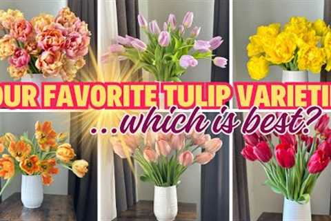 Our Most Loved (and Hated) Tulip Varieties We Grew this Past Season!