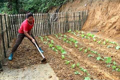 Build Vegetable Garden And Grow Vegetables, OFF GRID FARM, BUILD LOG CABIN