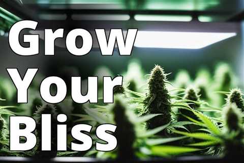 The Ultimate Guide to Growing Marijuana for Recreational Bliss