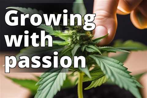 The Joy of Growing Marijuana for Pure Personal Fascination: A Hobby Gardener’s Guide
