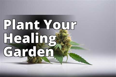 A Step-by-Step Guide to Growing Marijuana for Therapeutic Indulgence