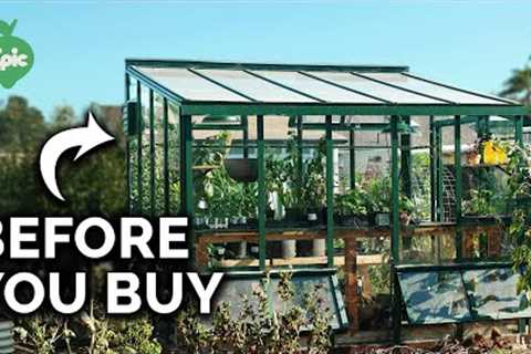 What I Wish I Knew Before I Got A Greenhouse