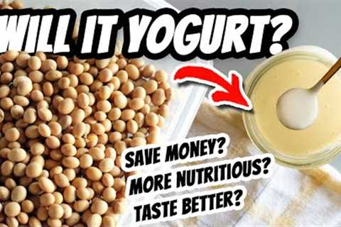 Vegan Yogurt Basics & Which makes BETTER yogurt? 🤜🤛Store-bought VS Homemade Soymilk..