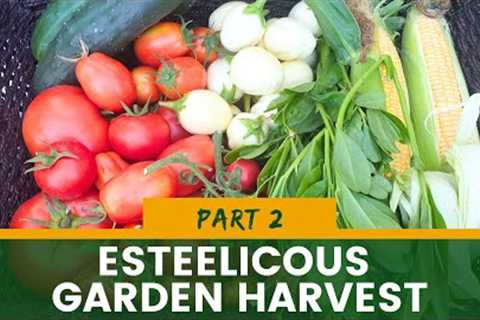 EsteeLicious Garden Harvest, What Is Your Garden Giving Back To You?