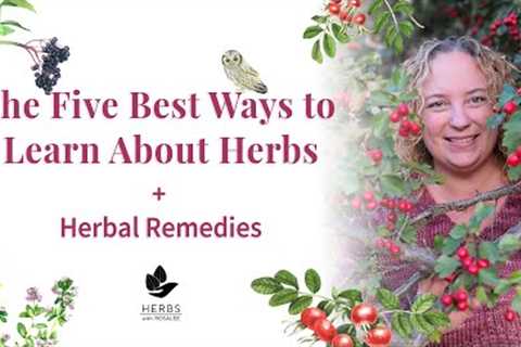 Five Best Ways to Learn About Herbs + Herbal Remedies