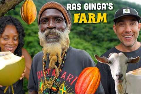 Organic Farming with @rasginga ! HUGE Coconuts, Cocoa Fruit tasting & Goats!