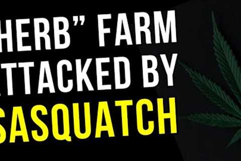 Herb Farm Guard Gets Some Sasquatch Attention!