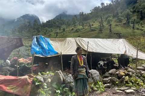 organic Nepali Mountain Village Life in Nepal || Most peaceful & Relaxation Village Life in..