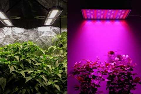 What color light is best for plant growth?
