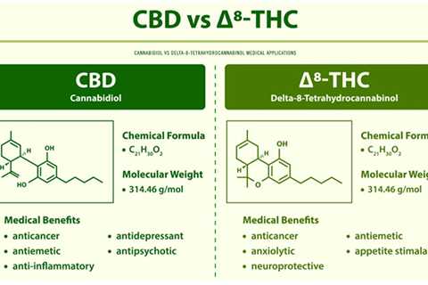 Cbd Vs Delta 8 Gummies: What’s The Difference In 2023?