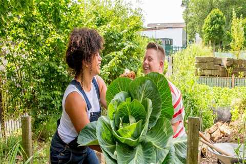 5 Community Gardens in Orange County, CA to Promote Healthy Living Habits