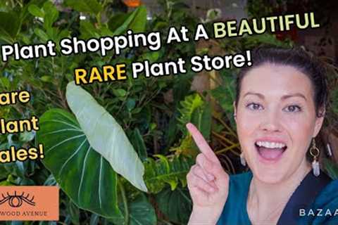 $19 RARE Jade Scindadpsus! Plant Shopping at Oglewood Avenue Plant Shop! Knoxville, Tennessee