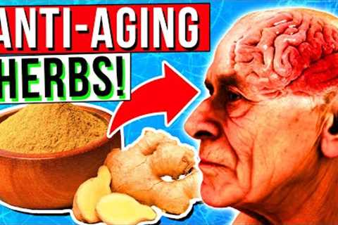 12 Best ANTI-AGING Herbs That Helps Protect The Brain & Memory Loss