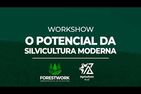 FORESTWORK - Workshop sobre silvicultura