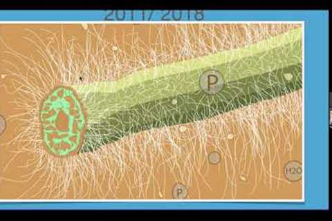 Jeff Lowenfels - The Updated Soil Food Web