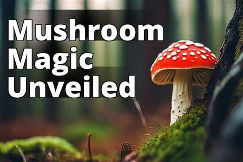 Identifying Amanita Muscaria: Understanding Its Appearance and Toxicity