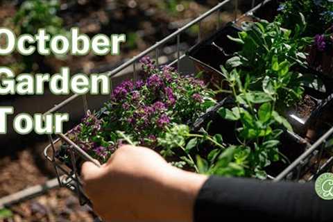October Garden Tour: A Garden in Transition