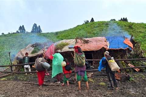 Himalayan Village Life | Nepal | Dolpa |Organic Food Cooking | Village Life of Nepal | Real Life🇳🇵
