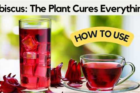 Hibiscus: The Plant That Cures Everything