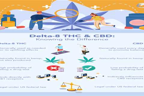 Cbd Vs Thc Vs Delta 8: Get To Know Which Is Right For You?