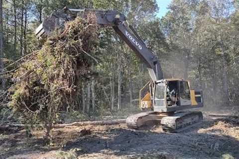 Helping Zach Clear A Lot For His House