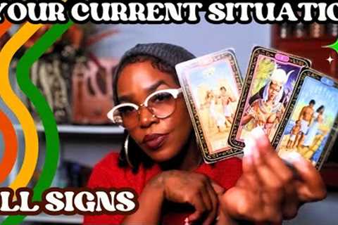 All Signs Your Current Situation | Collective Tarot