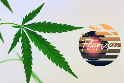 Florida’s Proposed Hemp Restriction Bill Raises Serious Concerns