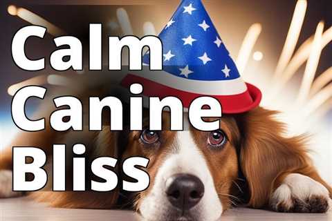 Maximize Your Dog’s Calmness on July 4th with CBD