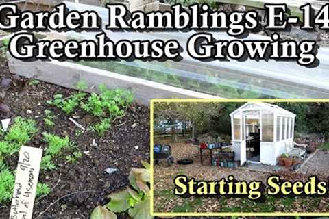 Strawberries, Winter Bed Preparation, Greenhouse Seed Starts: Garden Ramblings Tips & Tour E-14