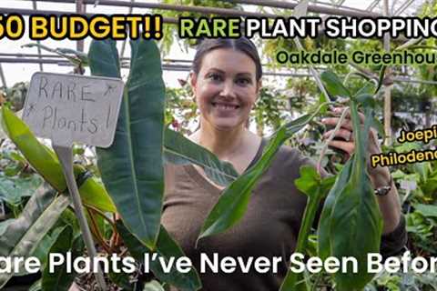 Can I Go RARE Plant Shopping With A $50 BUDGET? Indoor Plant Haul - PLANT PACKED Oakdale Greenhouse