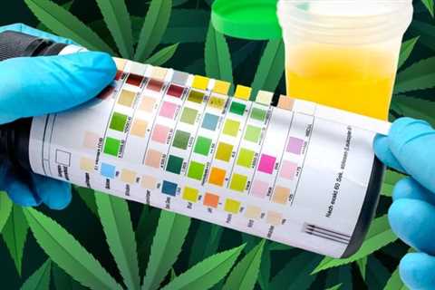 The End of Cannabis Drug Testing? - Even Drug Test Kit Makers Are Dropping Weed Testing and..
