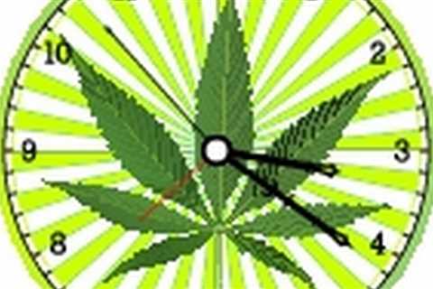 #cannabis #marijuana #thc #cannabiscommunity Cool Down With Cineol — How…