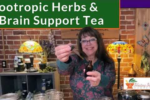 Nootropic Herbs & a Brain Support Tea
