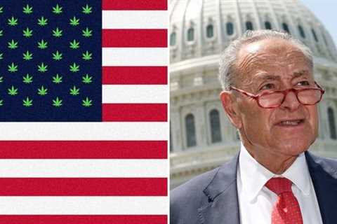 Chuck Schumer wants to end the federal prohibition on weed: ‘The people are on our side’