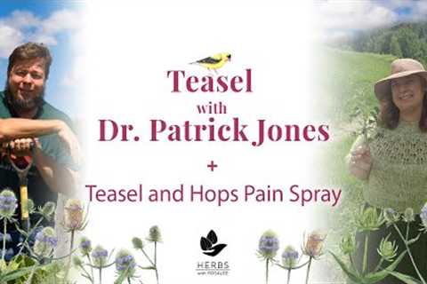 Teasel with Dr  Patrick Jones + Teasel and Hops Pain Spray