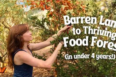 Homestead & Harvest: Step by Step How I Created my Organic Food Forest
