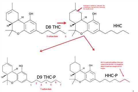 DELTA 9 THC Vs HHC-P: Which Is Better For You In 2023?