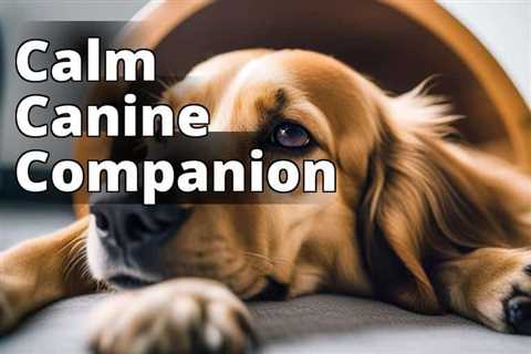 CBD Oil Benefits for Anxiety in Dogs: The Ultimate Guide for Pet Parents