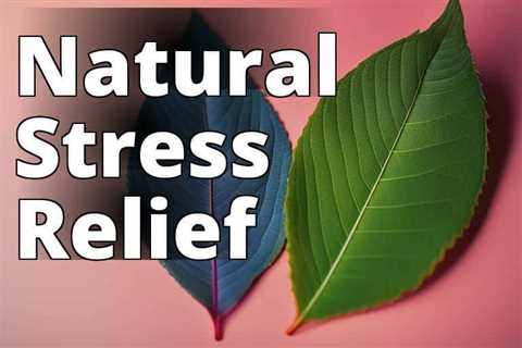 Discover the Ultimate Stress Relief with Kratom: A Complete Guide