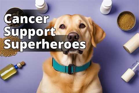 The Ultimate Guide to CBD Oil Benefits for Canine Cancer Support