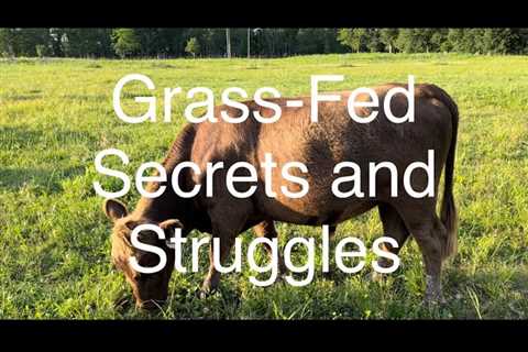 Unlock the Secrets to Better Health With Grass-Fed Beef