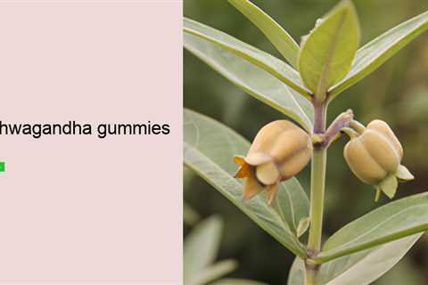 ashwagandha gummies