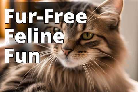 CBD Oil for Cats: The Ultimate Solution to Hairball Prevention