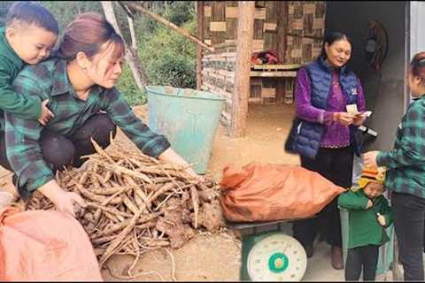 Go into the forest, find herbs, bring them to the market to sell